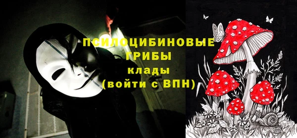ПСИЛОЦИБИНОВЫЕ ГРИБЫ Алексеевка