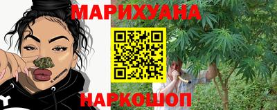 индика Ирбит