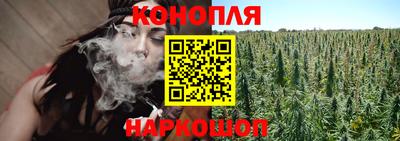 индика Ирбит