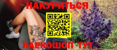индика Ирбит