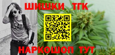 индика Ирбит