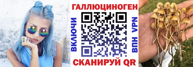 Галлюциногенные грибы Magic Shrooms  omg онион  Качканар 