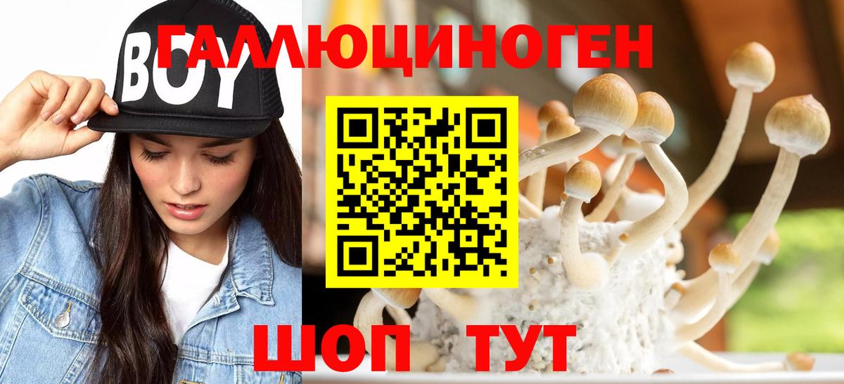 Псилоцибиновые грибы Psilocybine cubensis Качканар