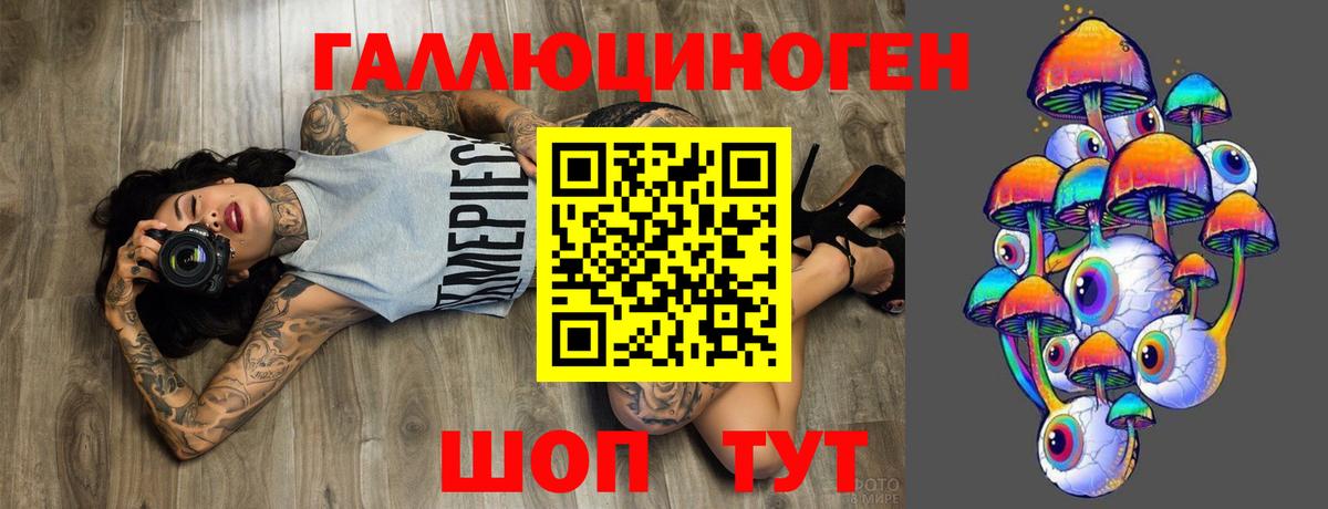 как найти закладки  Вход с VPN  Качканар  Псилоцибиновые грибы Psilocybine cubensis 